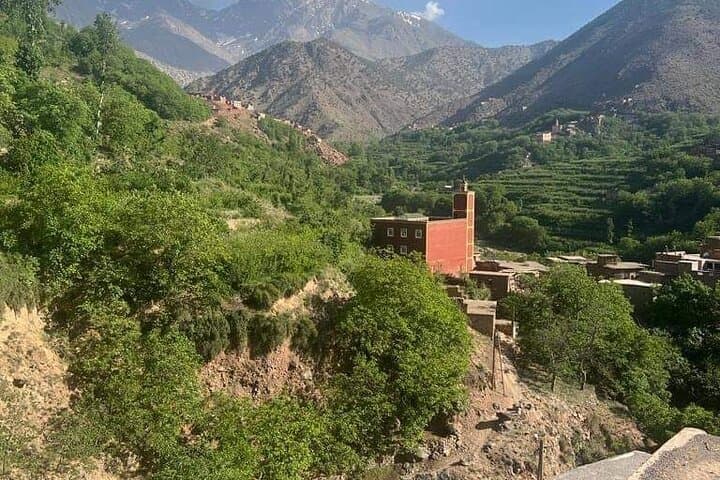 Full-Day Atlas Mountains Trek with Authentic Berber Lunch from Marrakech photo 4