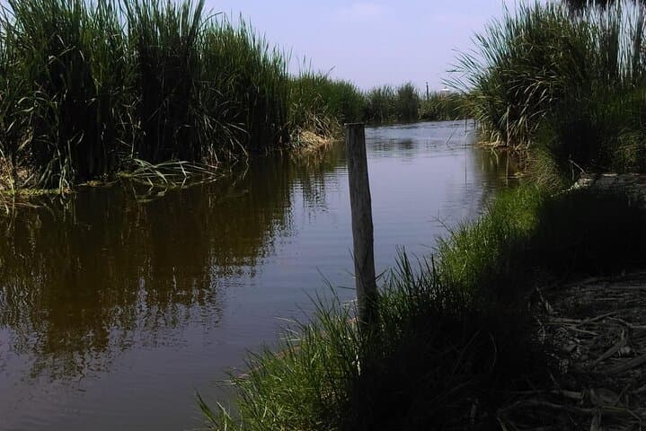Pachacamac Temple and Pantanos de Villa Private Tour — Lima Day Trip to Ruins and Wetlands photo 4