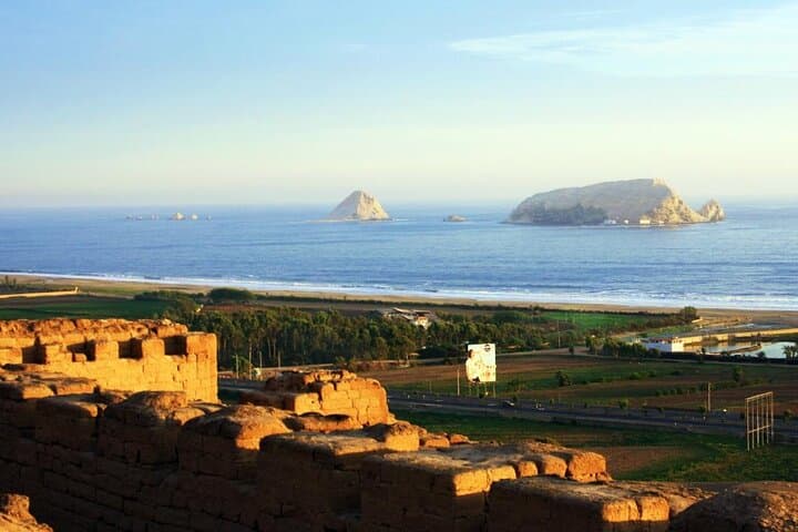 Pachacamac Temple and Pantanos de Villa Private Tour — Lima Day Trip to Ruins and Wetlands photo 6