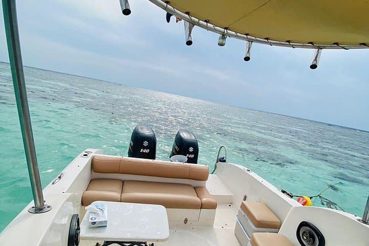 Half-Day Red Sea Boat Trip from Jeddah: Snorkel, Dolphins & Coastal Culture photo 3