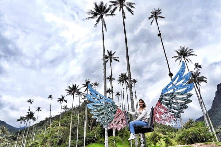 Cocora Valley, Salento & Filandia: Full-Day Coffee Region Tour photo 5