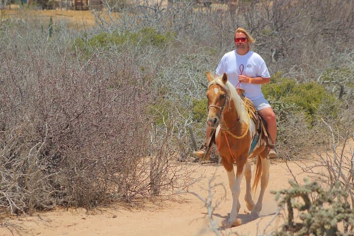 Migriño Beach Horseback and ATV Adventure with Tequila Tasting in Los Cabos photo 4
