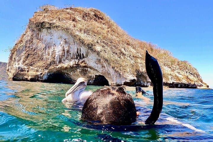 Stand-Up Paddleboard and Snorkeling at Los Arcos, Puerto Vallarta photo 6