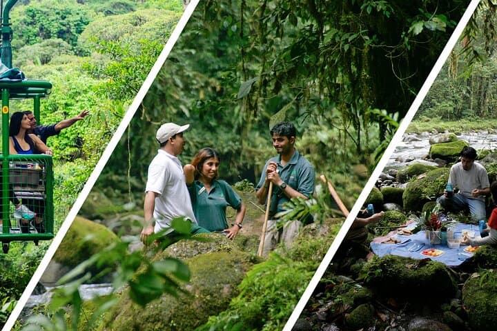 Braulio Carrillo Rainforest Hike & Aerial Tram: Day Trip from San José