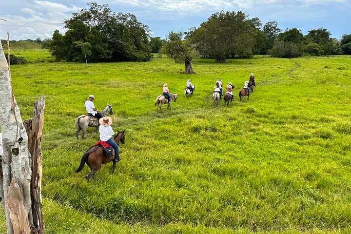 Full-Day Horseback Riding from Medellín: Authentic Colombian Ranch Experience
