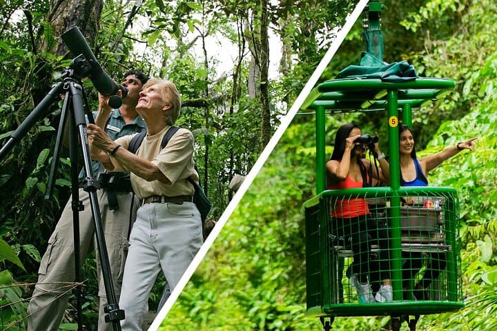 Braulio Carrillo Bird-Watching Day Trip: Aerial Tram & Rainforest Sanctuary