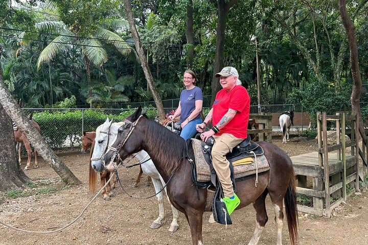 Roatán Horseback Riding, City Walk & West Bay Beach Club — Private 5–6 Hour Tour