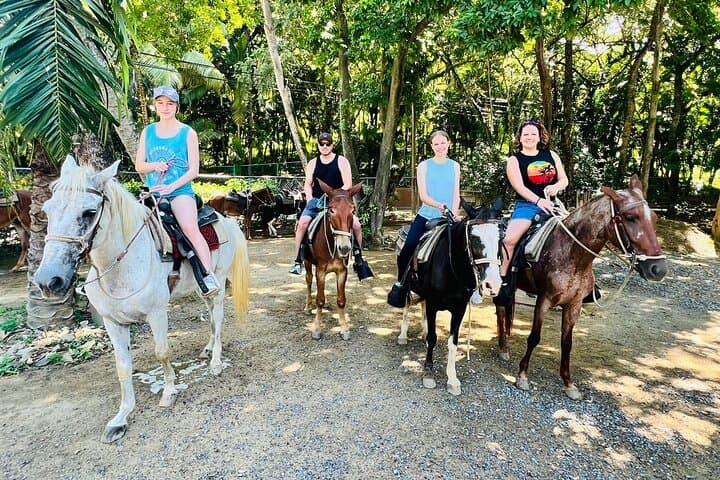 Roatán Horseback Riding, City Walk & West Bay Beach Club — Private 5–6 Hour Tour photo 2