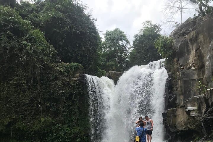One Day Exploring Ubud: Monkey Forest, Rice Terraces, Waterfall & Art Villages photo 4