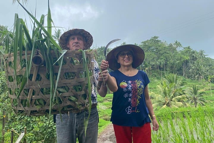 One Day Exploring Ubud: Monkey Forest, Rice Terraces, Waterfall & Art Villages photo 5