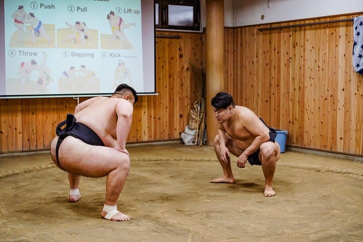 Enter the Sumo Stable: Watch Morning Practice, Try a Match & Eat Chanko-Nabe photo 4