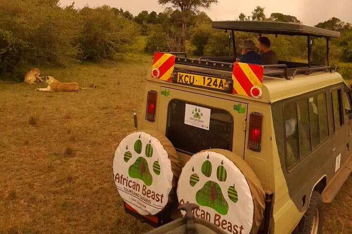 Inside the Park Masai Mara: 3-Day Safari for Big Five Game Drives