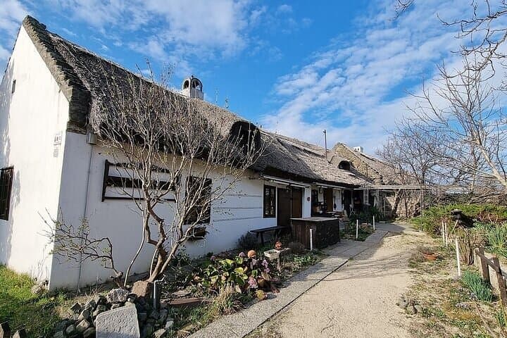 Lake Balaton Day Trip from Budapest — Ferry, Village & Beach Swim photo 6