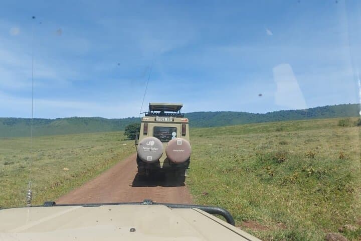 Ngorongoro Crater Day Trip from Arusha — What to Expect on a Shared Safari photo 3