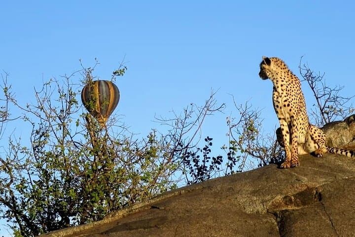 Ngorongoro Crater Day Trip from Arusha — What to Expect on a Shared Safari photo 4