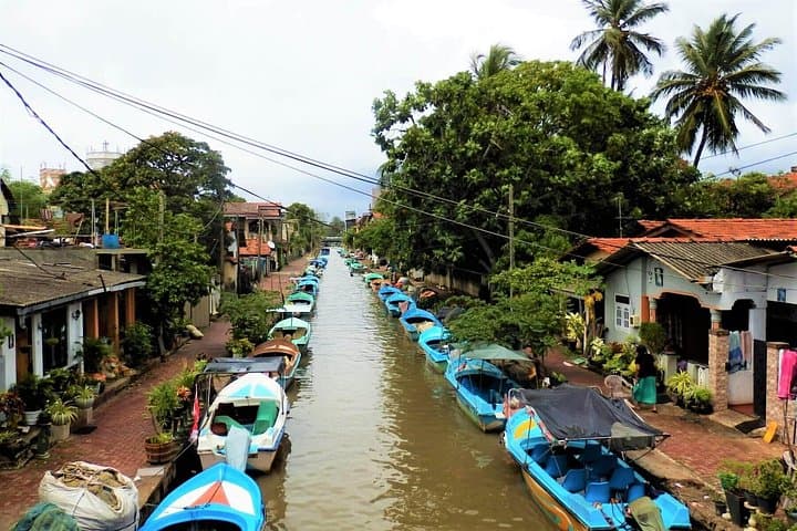 Negombo Private City Tour: Fish Market, Dutch Canal & Lagoon Highlights photo 4