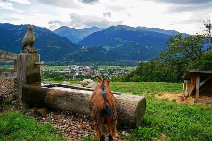 Heidiland & Vaduz Day Trip from Zurich: Heidi Village, Vineyards and Liechtenstein Culture photo 2