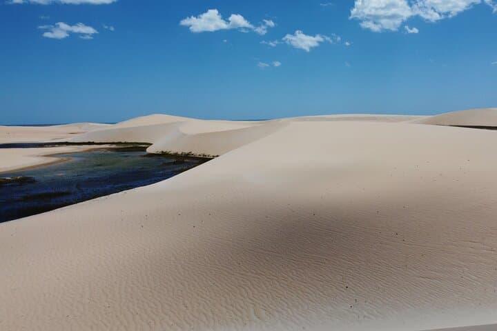 Jericoacoara West Coast Tour: Mangroves, Dunes & Lagoa Grande Adventure photo 4