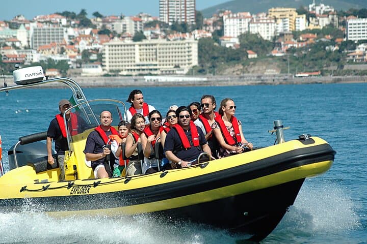 Dolphin Watching in Cascais: Small-Boat Marine Wildlife Cruise photo 3