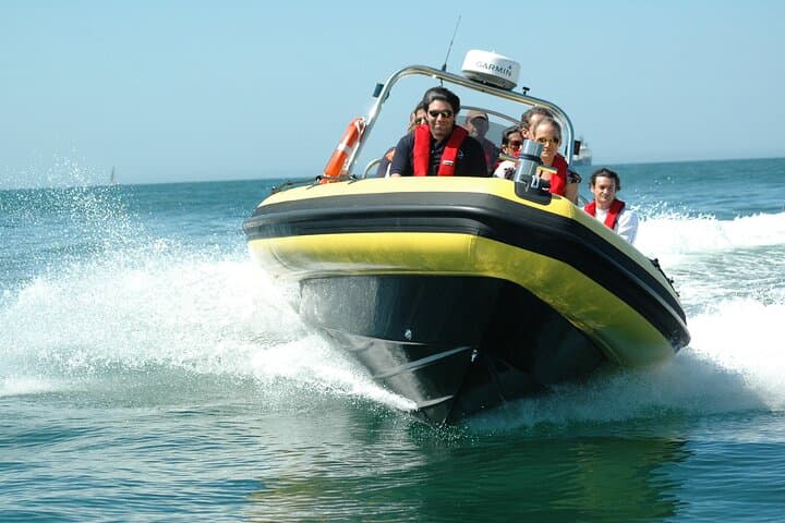 Dolphin Watching in Cascais: Small-Boat Marine Wildlife Cruise photo 4