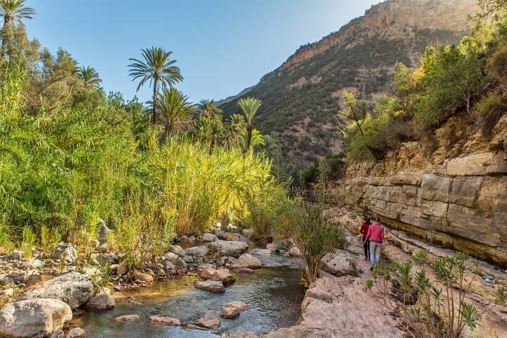 Paradise Valley Half-Day from Agadir: Hike to Natural Pools & Swim photo 3