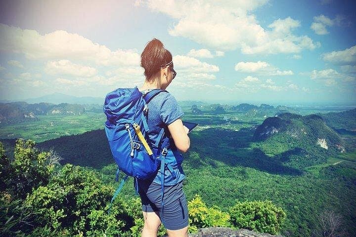 Munnar 2-Night Solo Tour from Kochi — Tea Gardens, Waterfalls & Mattupetty photo 3