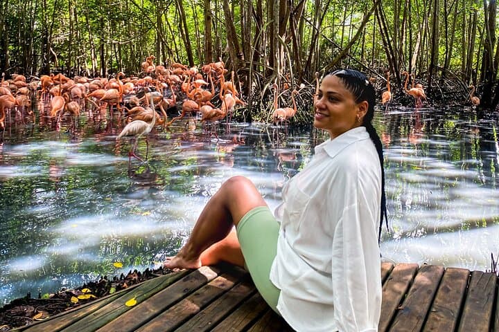 Aviary to Playa Blanca: National Aviary and Lunch at Mambo Beach, Barú