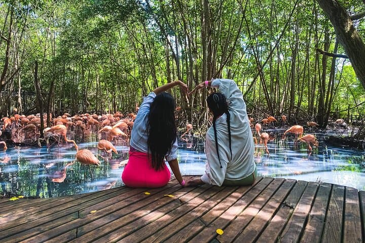 Aviary to Playa Blanca: National Aviary and Lunch at Mambo Beach, Barú photo 2
