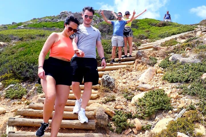 Cape Peninsula Private Day Tour — Penguins, Cape Point & Chapman's Peak photo 5