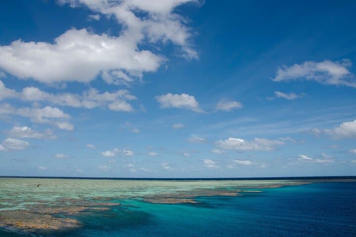 SeaQuest Day Trips from Cairns: Snorkel & Intro Dive on the Outer Great Barrier Reef photo 3