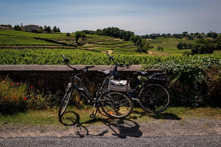 Saint-Émilion Half-Day E‑Bike & Wine Tour with Vineyard Picnic