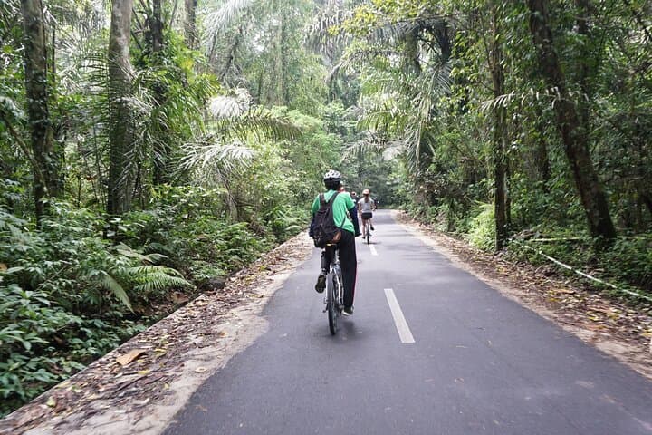 Cycling to Tirta Empul: Holy Water Blessing Bike Tour from Ubud photo 2