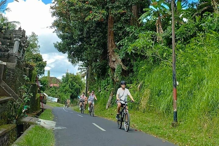 Cycling to Tirta Empul: Holy Water Blessing Bike Tour from Ubud photo 4