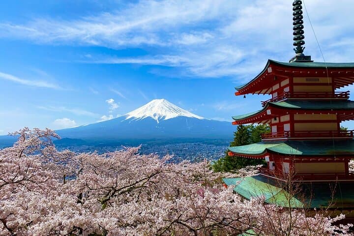 Mt Fuji and Lake Kawaguchi Sakura Photo Tour - Top Cherry Blossom Viewpoints photo 3