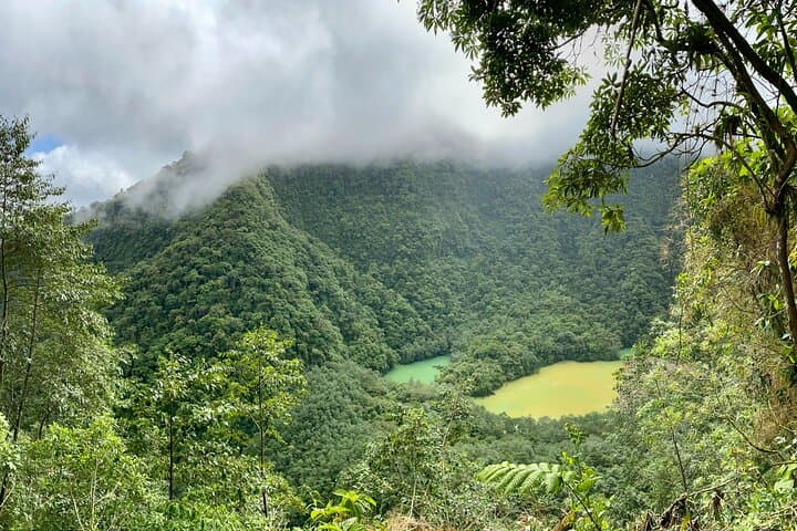 Laguna de Colores Hike: Private Guided Cloud-Forest Walk from San José photo 5