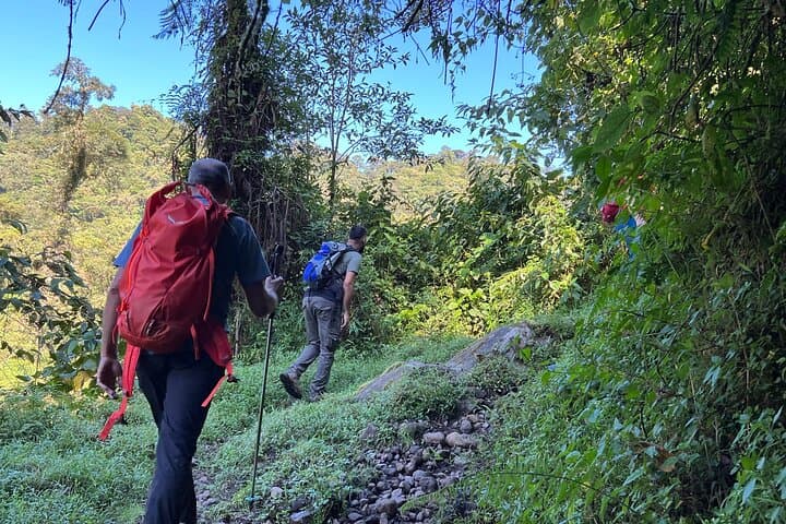 Iral Cloud Forest Day Pass: Trails, Wildlife & Lunch Near San José photo 5