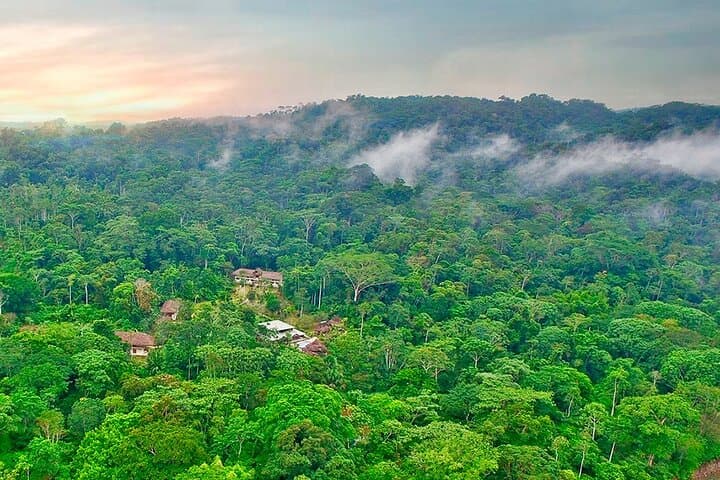 3-Day Huaorani Cultural Immersion and Amazon Rainforest Adventure from Quito photo 3