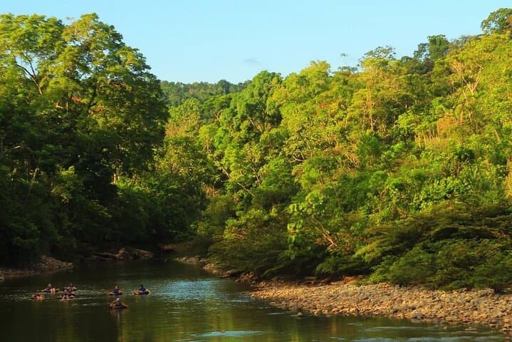 3-Day Huaorani Cultural Immersion and Amazon Rainforest Adventure from Quito photo 4
