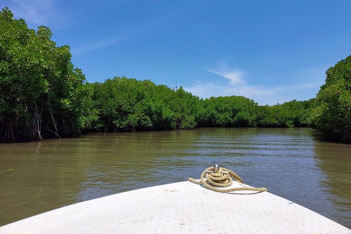 Pichavaram Mangrove and Nataraja Temple Day Tour from Pondicherry photo 4