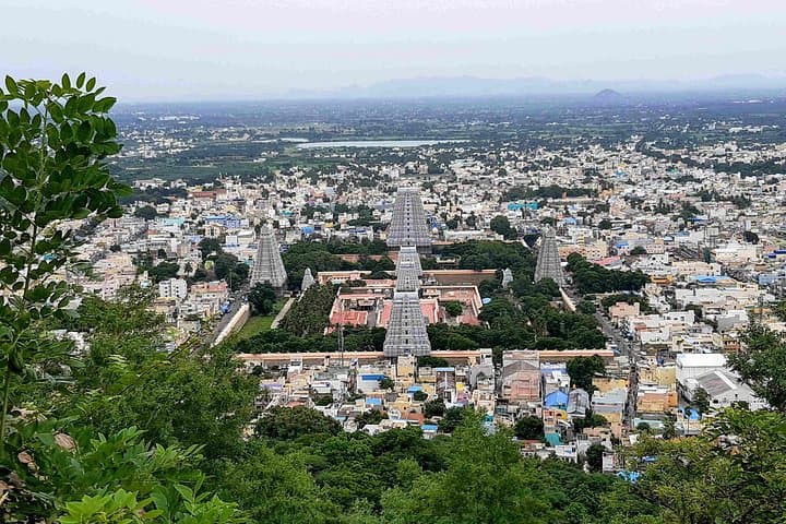 Arunachaleswara Temple Day Tour from Pondicherry — Arunachala, Ramana Ashram & Virupaksha Cave photo 4