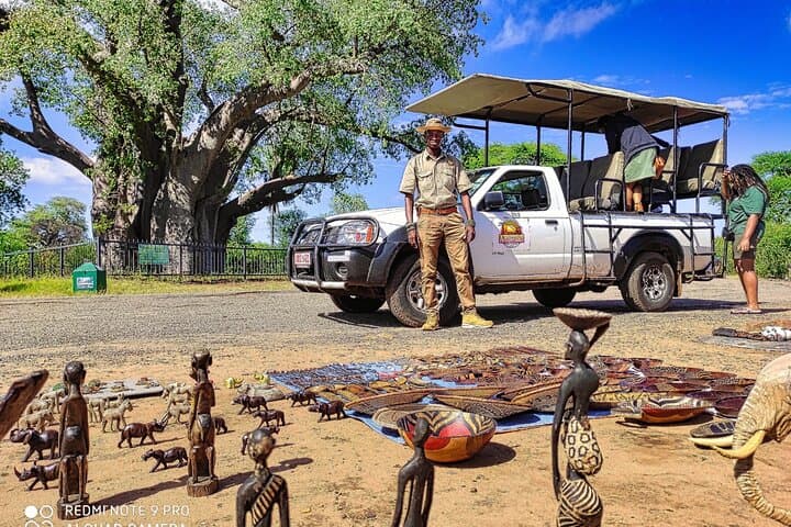 Vulture Experience: 4x4 Safari Drive at Victoria Falls photo 3