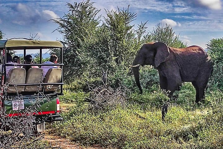 Private 4x4 Safari in Zambezi National Park from Victoria Falls photo 2