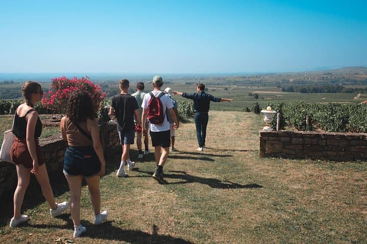 Beaujolais Vintage Land Rover Wine Tour: Full-Day Private Excursion from Lyon photo 2