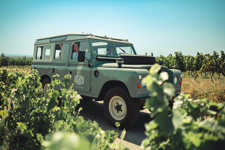 Beaujolais Vintage Land Rover Wine Tour: Full-Day Private Excursion from Lyon photo 3