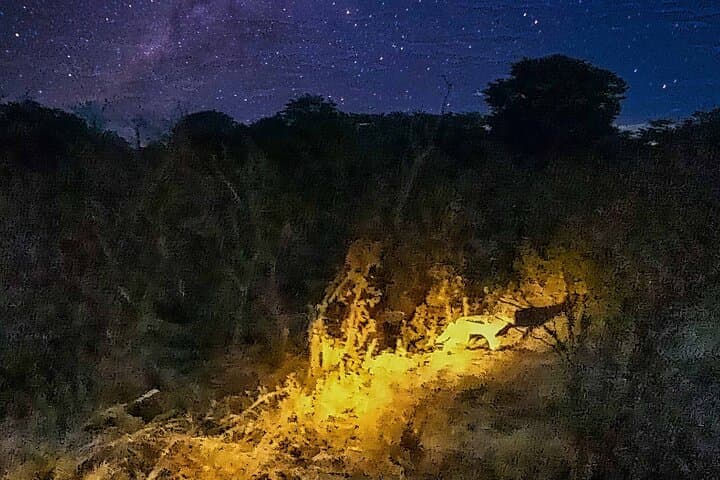 Victoria Falls Guided 4x4 Night Safari & Stargazing Experience photo 2