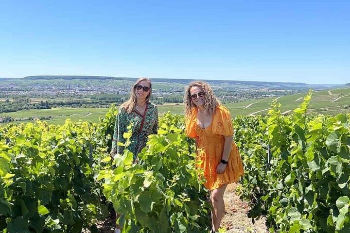 Unesco Champagne Experience from Reims: Private Full-Day Champagne Tour photo 3