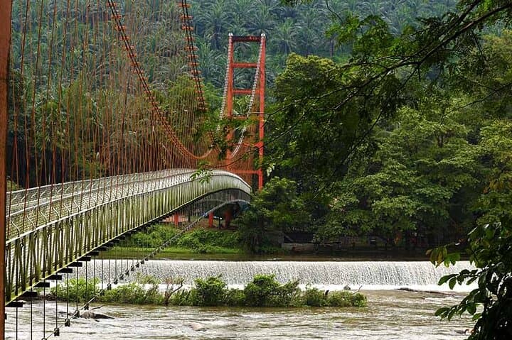 Athirappilly Waterfalls Day Trip from Kochi — Niagara of India Excursion photo 2