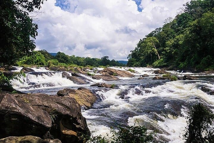 Athirappilly Waterfalls Day Trip from Kochi — Niagara of India Excursion photo 3