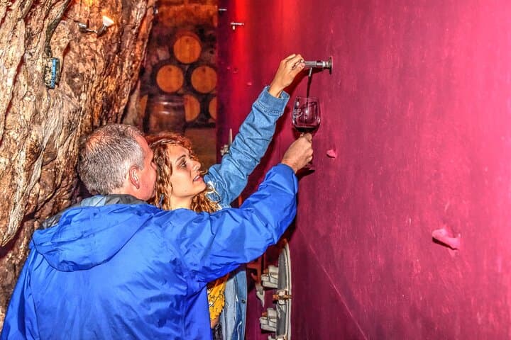 Private Full-Day Rioja Wine Tour: La Rioja Alta & Rioja Alavesa Tastings photo 3