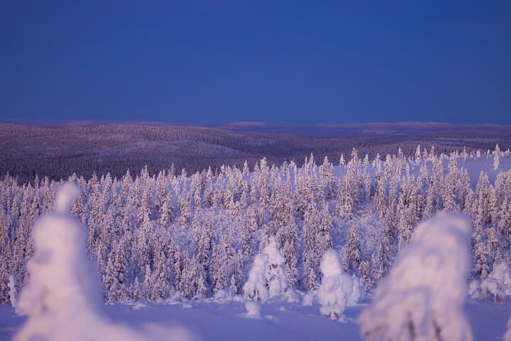 Private Lapland Snowshoe & Trekking Ski Adventure from Rovaniemi photo 4